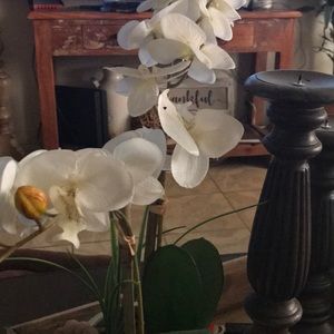 Meet your Posher, Karina